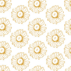 Floral seamless pattern with Golden daisies on white background for Wallpaper, greeting card, gift box, textile printing.