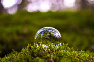  Lensball in nature