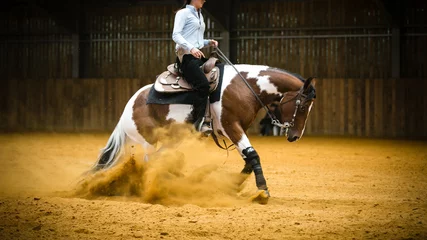 Deurstickers rider on horse © Theresa Mount