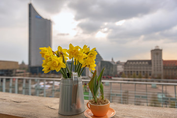 A bouquet of yellow daffodils (Narcissus pseudonarcissus) stands on a wooden table. Concept: decoration or spring