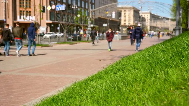 Macro Green Grass On City Street. Close-up Cars Vehicles Wheels. Urban Green Space. Buildings Vehicles People Activity. Bright Sunny Day. Bokeh