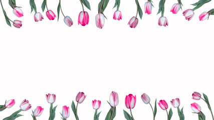 Spring flower background – Frame made of pink red white tulips isolated on white texture, top view with space for text