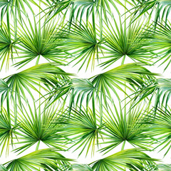 Tropical seamless pattern, palm leaves, on an isolated white background, watercolor illustration, wallpaper