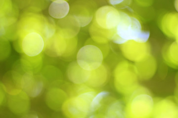 Obraz premium Natural yellow and green bokeh background