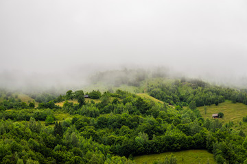 Summer / spring panoramic landscape of a hill forest in Moieciu de Jos, Brasov, Transylvania, Romania