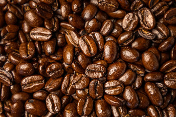 Coffee Bean Close-up