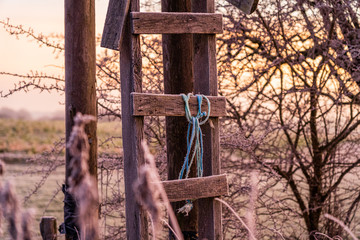 ladder high seat nature field look out