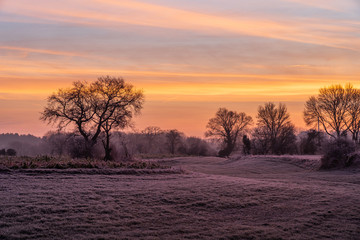cold morning field winter trees sunrise