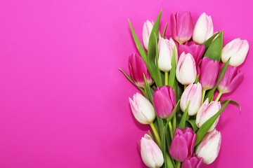 Bouquet of beautiful tulips on pink background.