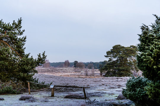 germany haltern westruper heide winter park morning