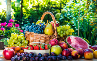Obraz premium Variety of fresh ripe fruits in the garden.