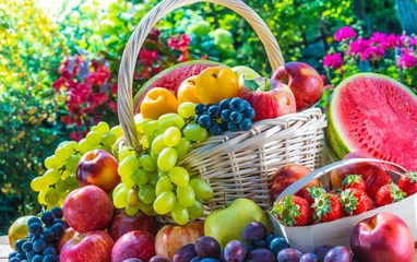 Fotobehang Variety of fresh ripe fruits in the garden. © monticellllo