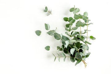 A bunch of twigs green eucalyptus  and leaves isolated on white background. lay flat, top view © K.Decor