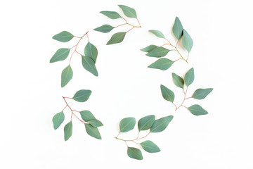 Round frame with branches eucalyptus isolated on white background. lay flat, top view