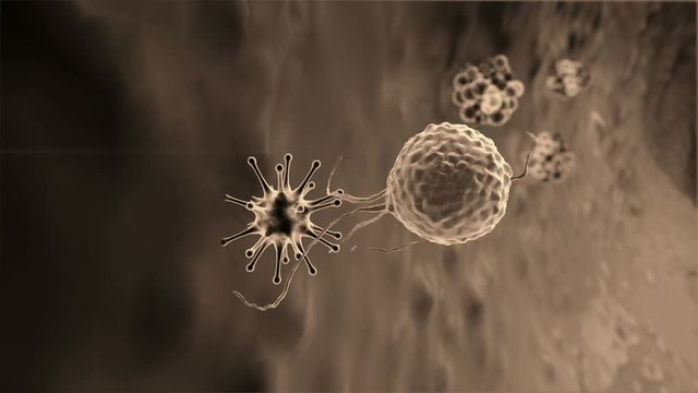 virus attacked by lymphocytes, Cancer cell and Lymphocytes, T-lymphocytes attack a migrating cancer cell, Cancer cell attacked by lymphocytes, Macrophage attack of the cells