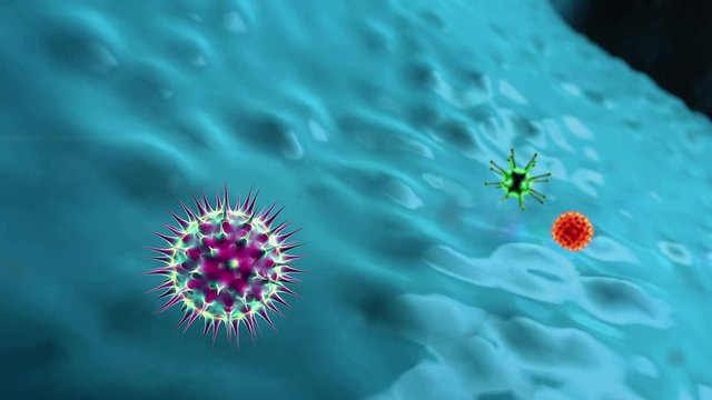 Coronavirus attack the human body, virus cell and Lymphocytes, T-lymphocytes attack a migrating viruses, virus attacked by lymphocytes, Macrophage attack of the viruses