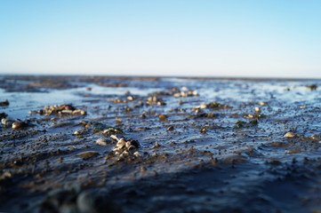 Ebbe an der Nordsee