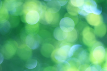 Blurred green bokeh and blurred background from leaves
