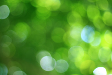 Fototapeta premium abstract green bokeh background