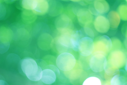  Bokeh blur green beautiful background