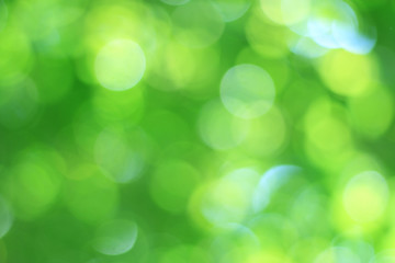 Obraz premium green bokeh background abstract