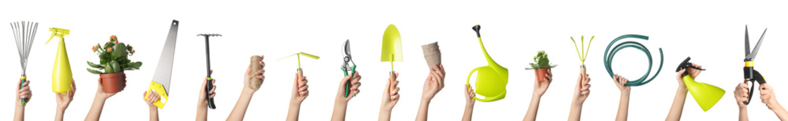 Female hands with different gardening supplies on white background