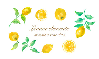 レモンのエレメント各種。水彩イラスト（ベクター）
