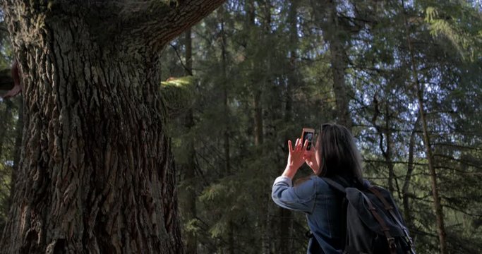 Beautiful girl with backpack walk to the big oak tree in the forest. Young woman tourist walks in the park during the holidays and take pictures with smartphone photo camera of a tree trunk with moss.