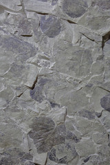Beautiful textured surface of natural stone at the mineral exhibition