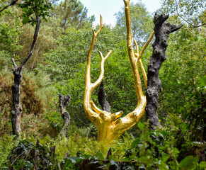  l’arbre d’or forêt de Brocéliande france 