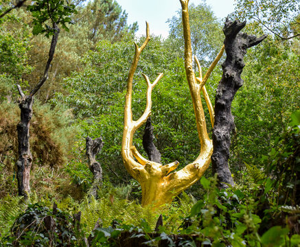  l&rsquo;arbre d&rsquo;or for&ecirc;t de Broc&eacute;liande france 