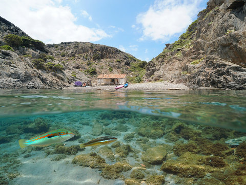 Mediterranean sea peaceful rocky beach in summer with a hut and fish underwater, split view over and under water surface, Spain, Cap de Creus, Costa Brava, Catalonia, Cala Culip