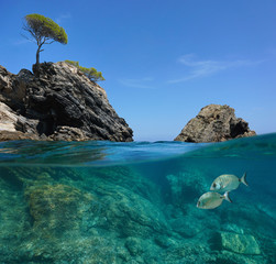 Seascape in the Mediterranean sea, rocky coast split view over and under water surface, Spain, Costa Brava, Roses, Catalonia, Cala Rostella