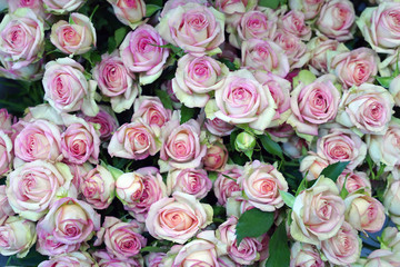 Fototapeta na wymiar Elegant bouquet of pink roses
