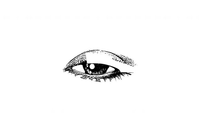 Self drawing sketch of woman's eye and brow. Animation. Copy space. White background.