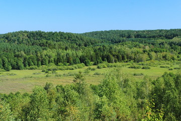 Fototapeta na wymiar Aerial view of the forest under blue sky during the summer.