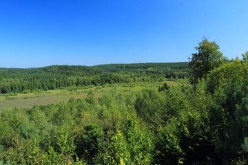 Fototapeta na wymiar Green forest surrounding valley in summer