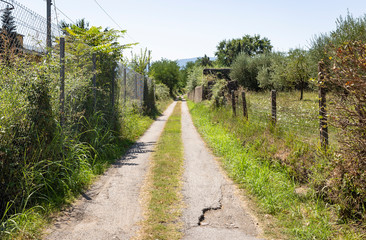 Fototapeta na wymiar a dual track country road next to Altopascio, Province of Lucca, Tuscany, Italy