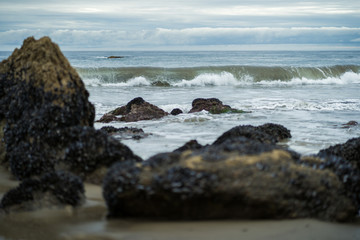 Fototapeta na wymiar Perfect Wave and Rocks on Coast of Malibu California El Matador Beach