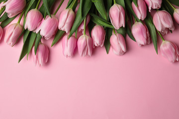 Beautiful spring tulips on light pink background, flat lay. Space for text