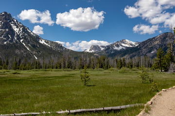 Dirt footpath leads through a high mountain meadow in Idaho