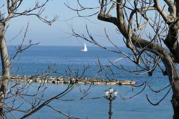 Alberi con rami senza foglie sul mare in una bella giornata d'inverno
