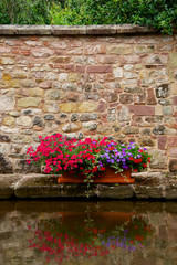 Flowers on the Stone Wall