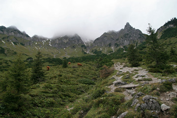 Dachstein Alps near Steiglkogel and Torstein, Austria