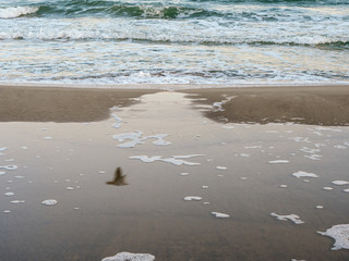 Sea waves on the coast.