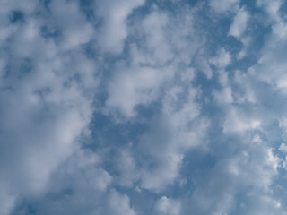 The blue sky on earth. Low Angle