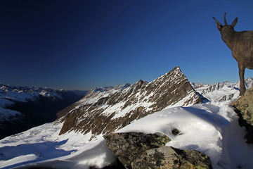 View from Wurmkogel peak (3080 m), Gurgler valley, Alps, Austria