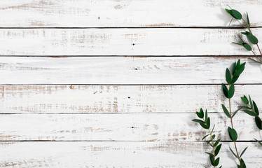 Eucalyptus branches and leaves on wooden rustic white background. Minimal background eucalyptus on white board. Flat lay, top view, copy space - Powered by Adobe