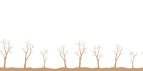 Silhouettes of Black Trees on white background. tree Pattern.