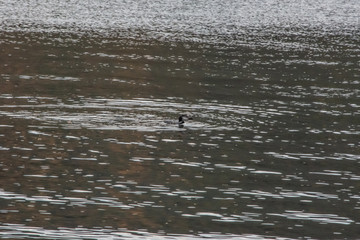 Adirondacks in the fall